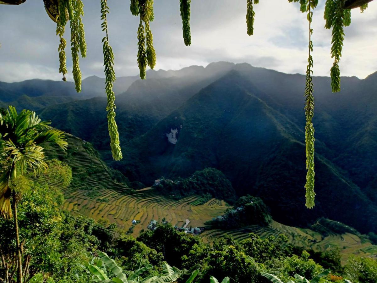 Batad Countryside Bed and Breakfast Banaue Exteriör bild